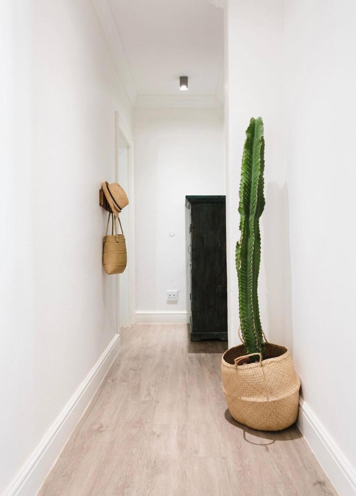 Apartamento Roeland Terrace 2b *